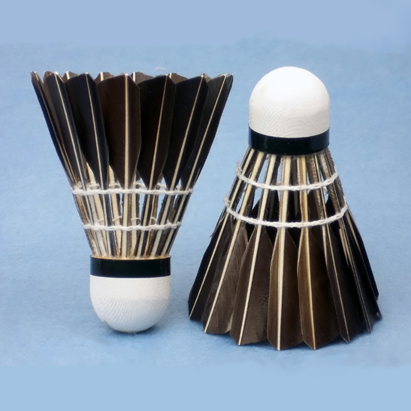 New 3/6/12pcs Professional Bad - Badminton Xxl review and price